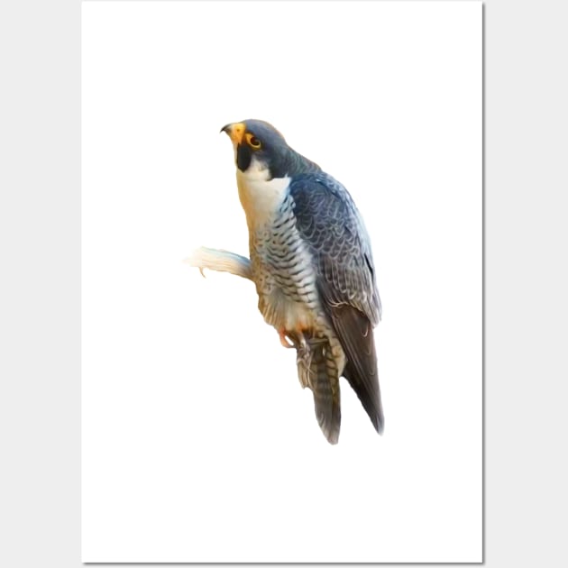 Falcon Wall Art by Guardi